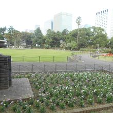 高層ビル街を背景に よく手入れされた芝生と四季を通して花が絶えない花壇で 公園を代表する風景 By ワンダラー 日比谷公園 第一花壇のクチコミ フォートラベル