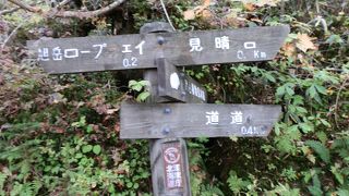 手頃な散策コースです。