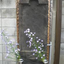 関孝和の墓の中の中央の墓石です。可憐な花が添えられています。