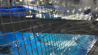 台風前だろうが関係無しの多さ