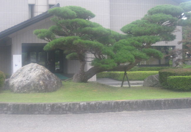 東京から運ばれてきた公孫樹（いちょう）の木が素晴らしかったです！