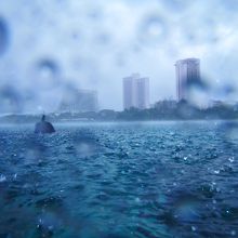 雨でも楽しめる♪