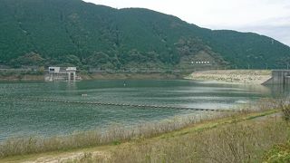 なかなかデカイダムです