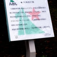 説明文がありました。