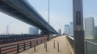 橋から豊洲のビル群を臨む