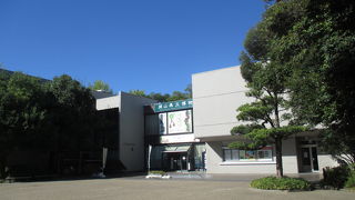 人影がありませんでした。