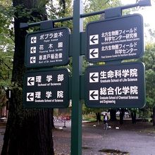 施設や観光スポットは案内看板で誘導してくれます