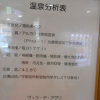 温泉分析表と銘打つには簡略すぎて、成分が分からない温泉