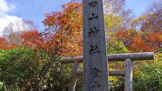 紅葉