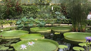 ガーデン好きな人には良い所