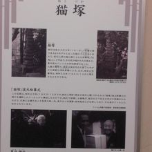 公園内には、漱石終焉の地とされる猫塚が建てられています。