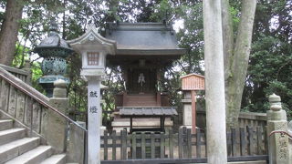 まだ次の休憩には早いですが、一息つきます。