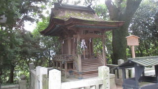 海に関して最強コンビ集結です。