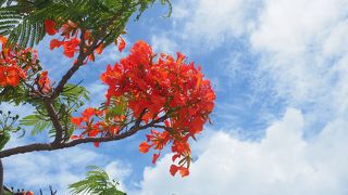 広い公園と第二次大戦の展示センター　アメリカ記念公園