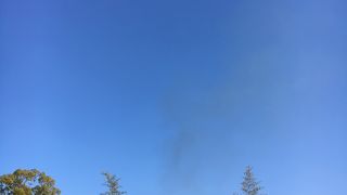 1月の大とんど祭