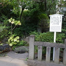 ちょっと不気味な井戸