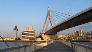 ウッドデッキの気持ちのよい道