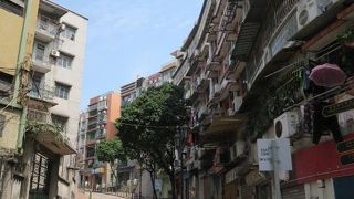 まぁ・・・道だね