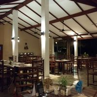 この辺に住み着いた野良猫がおねだりしてきます。