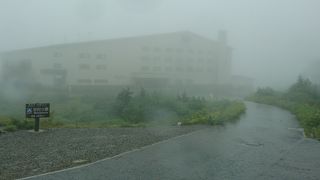 ラムサール条約の湿地です