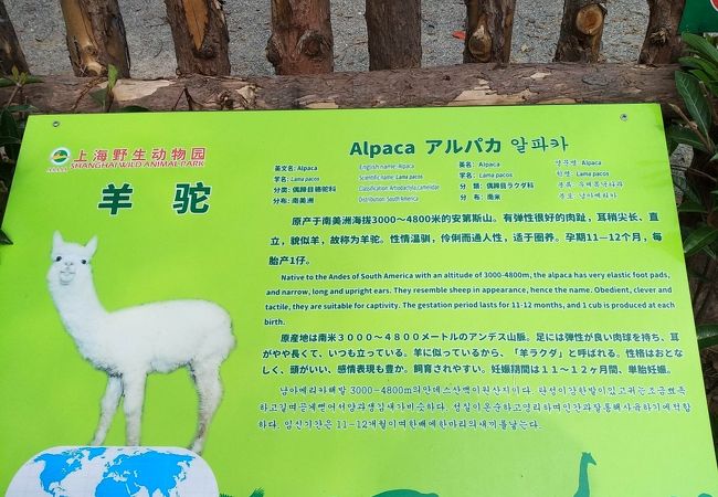 上海野生動物園