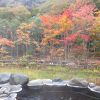 紅葉、温泉が素晴らしい！