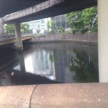 あまりきれいではない川の様子