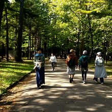 自然豊かな公園