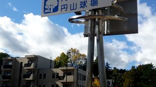 自然豊かな公園。空気が美味しい。