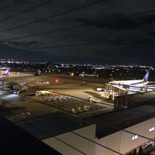 見るなら夜行きましょう！