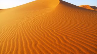 ツアー参加せずに砂丘を歩き回る