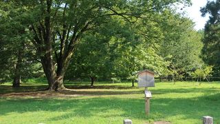 藤原道長の邸宅