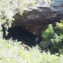 上からもちらっとのぞけます