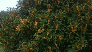 小さな休憩場所