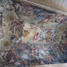 天井も有効活用