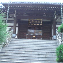 植栽に囲まれた来迎寺の本堂です。荘厳な感じが伝わってきます。