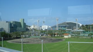 公園には県内最大の野球場があります