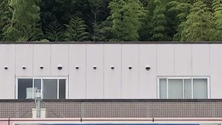 桜島がきれいです