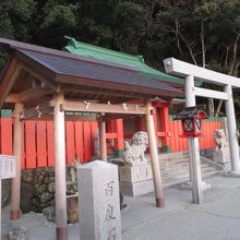 赤が鮮やかです