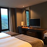 TVはリビングエリアとベッドの前にも置いてあります