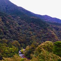 3面が窓のお部屋からは早川渓谷の眺望が素晴らしい！