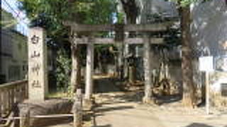 杉並の鎮守の森