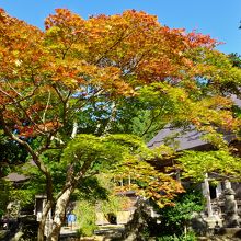 国上寺