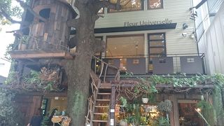 秘密基地のようなカフェです