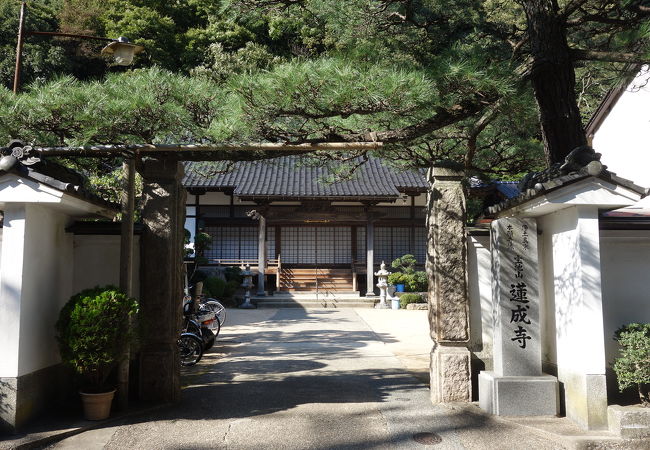  蓮成寺（れんしょうじ）。八百万の神。