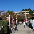 あと二週間後ぐらいが紅葉の見ごろかも・・