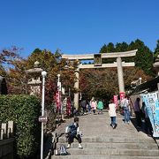 あと二週間後ぐらいが紅葉の見ごろかも・・