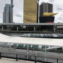 こちらがホタルナです