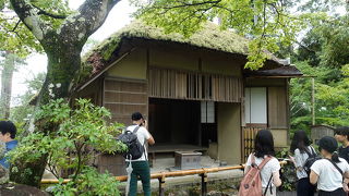 雰囲気のある茶室です
