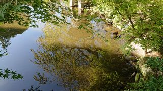 都心の静かな庭園